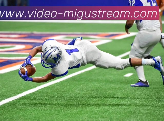 多媒体互动体验